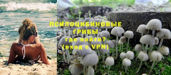 тгк Алексин